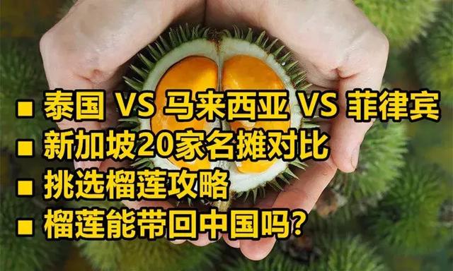 新加坡最好吃的20家榴莲摊！新加坡的榴莲为什么比中国的好吃？