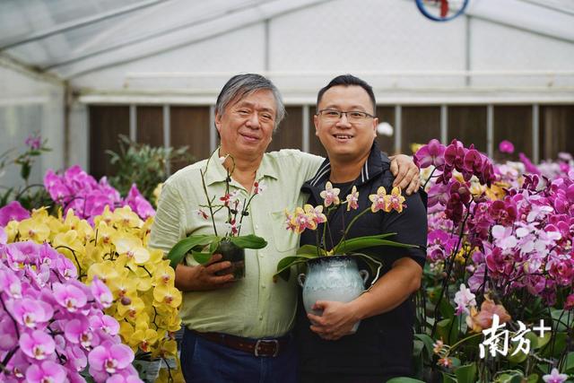 走遍世界只为搜罗珍稀兰花！香港“花农”在佛山育出上千新品种