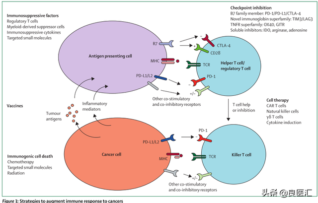 Lancet oncology ：肺癌治疗的新靶点