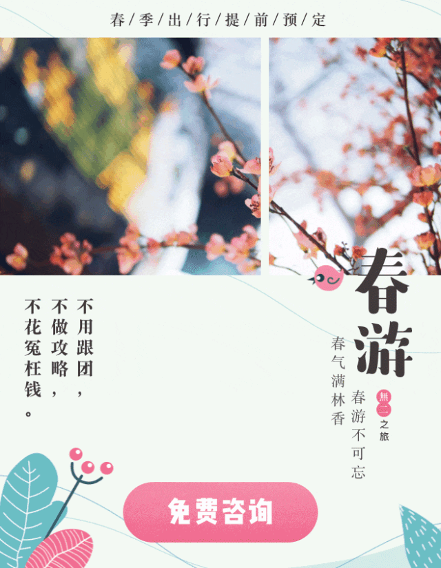 中国护照2019年最新最全免签、落地签攻略，拎包就走！