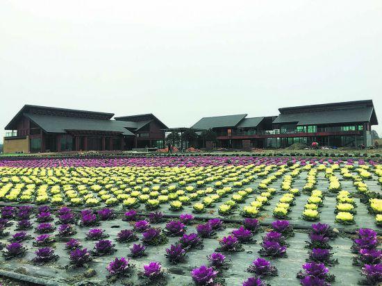 成都陌上花开1100亩起步区6月呈现