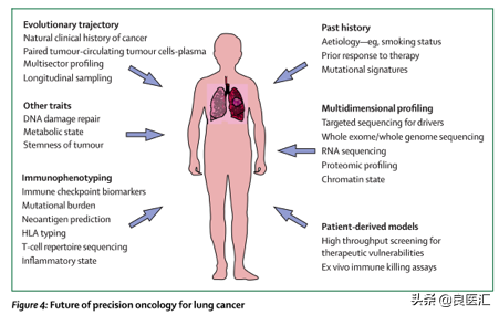 Lancet oncology ：肺癌治疗的新靶点