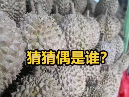 新加坡最好吃的20家榴莲摊！新加坡的榴莲为什么比中国的好吃？