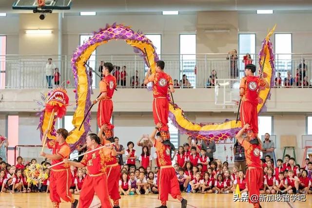 多所新加坡的国际学校~贵族”学校的气质！