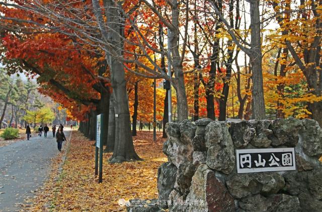 「北海道の秋日慢生活」之 行程计划篇