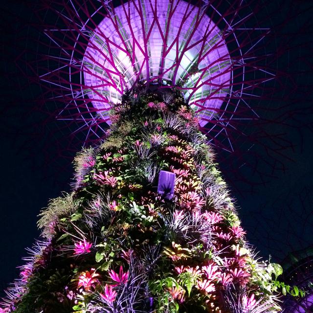 浮摄行旅图：世界上最大的热带城市花园，新加坡滨海湾花园