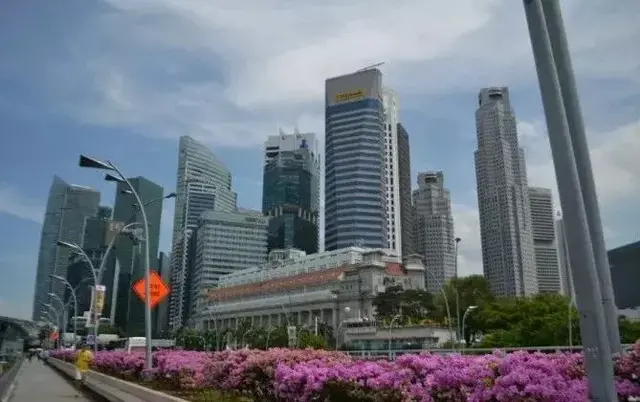 同样是在新加坡工作，女性挣钱竟然比男性少一大截！