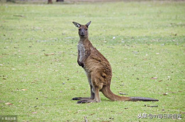 纯净、自然的风貌，曾被美国国家地理杂志评为“亚太第一岛”