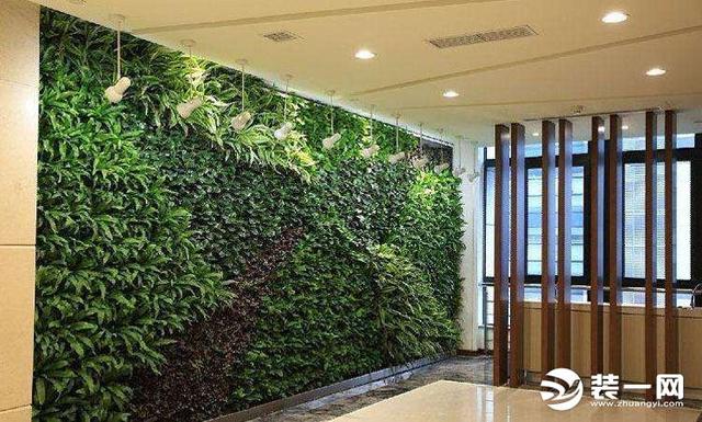 什么是生态植物墙？2019生态植物墙的设计原则要遵守！