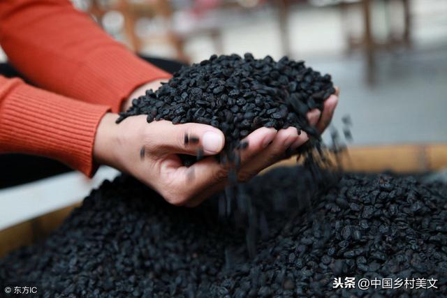 千年古镇的宫廷供品：黄姚豆豉