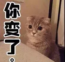 赴美陪读四年丈夫却与别人生子 海外“陪读妈妈”们过得还好吗？
