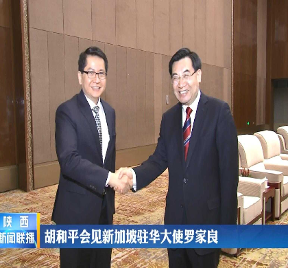 胡和平会见新加坡驻华大使罗家良