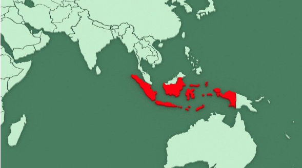 2019年印尼电商市场好做吗？