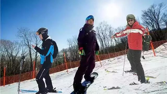 媒体惊呼：中国游客遍布日本滑雪场