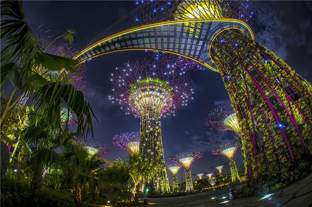 新加坡滨海湾花园照明规划赏析 珍藏 城市景观 灯光照明景观