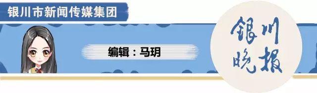 焦点丨大武口凉皮“闹大了”：年营业额近8000万，还要建产业园！