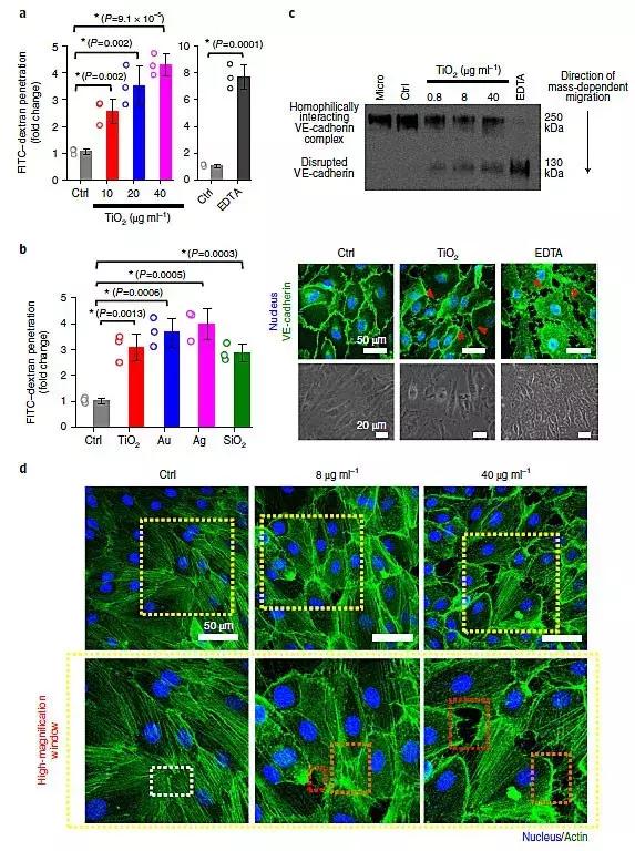 Nat. Nanotech.：出乎意料！无机纳米颗粒竟可促进癌症转移