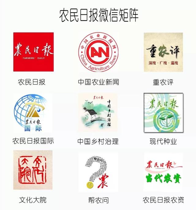 “新农人”种活“老栗树”,还去学院当讲师