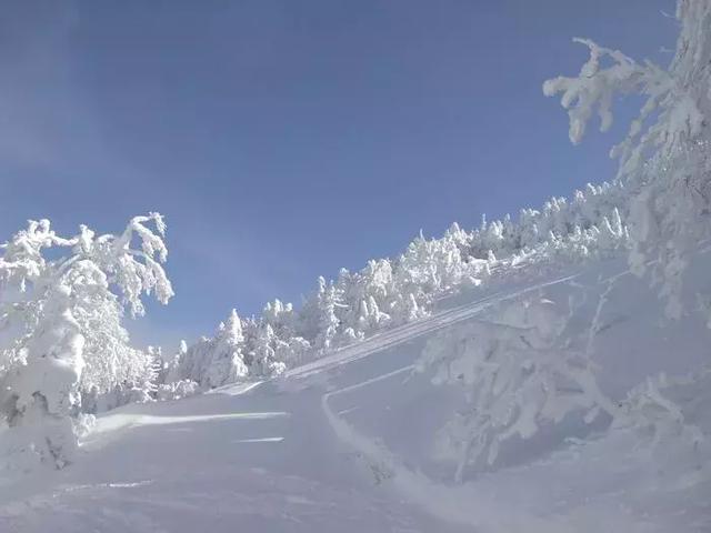 媒体惊呼：中国游客遍布日本滑雪场