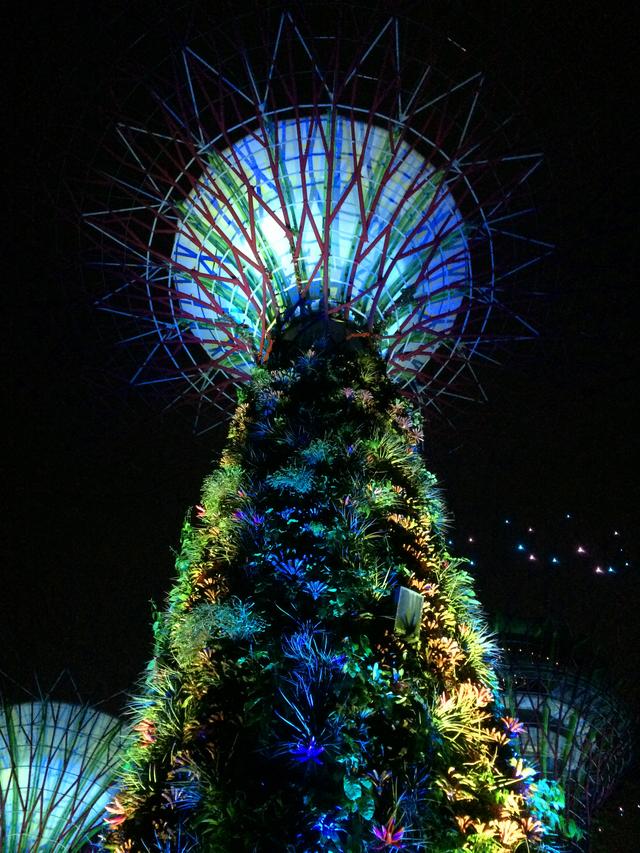 浮摄行旅图：世界上最大的热带城市花园，新加坡滨海湾花园