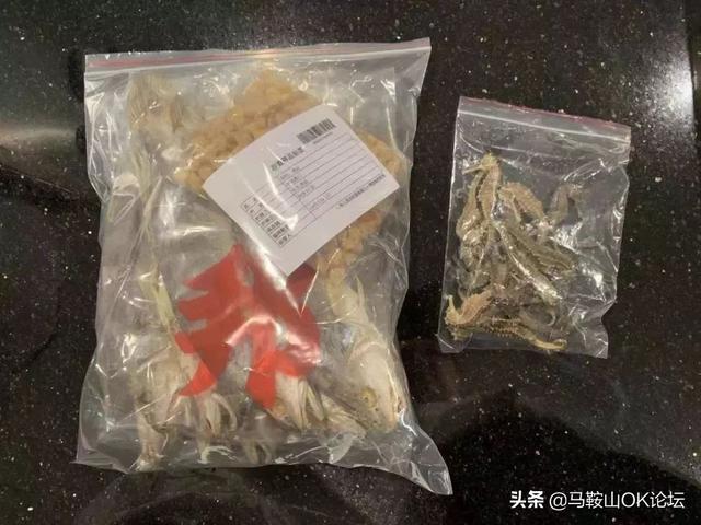 注意！马鞍山人以后去香港千万别带这个！最高罚5万甚至坐牢！