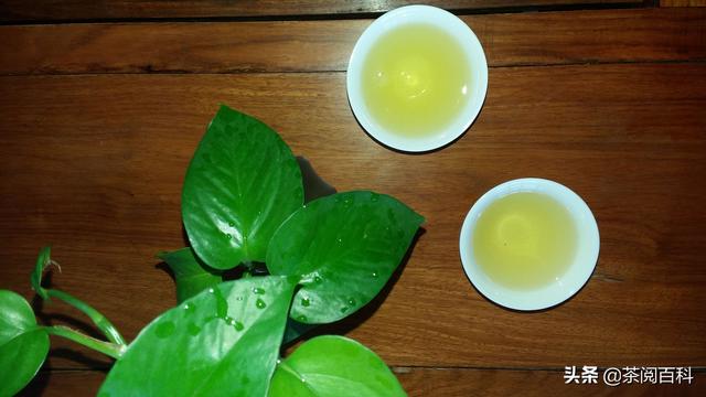 以铁观音为首的安溪六大名品，雌雄难辨，教你一眼辨雌雄