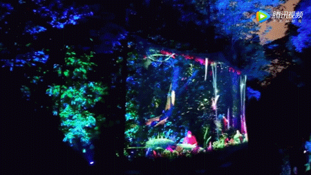 幻光雨林 | 沉浸在“阿凡达”的光影星球之中！