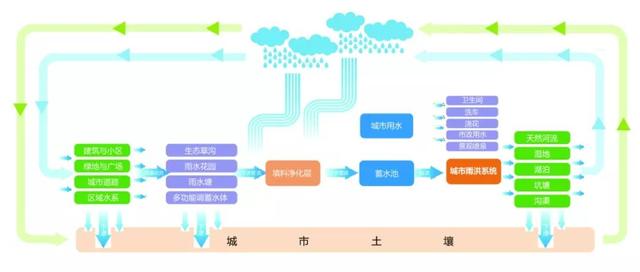 世界水日丨春日必修课·知水知沣西