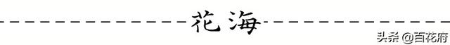 绣球花——玉团锦簇，朵朵藏情，红蓝粉紫，秀色满庭！