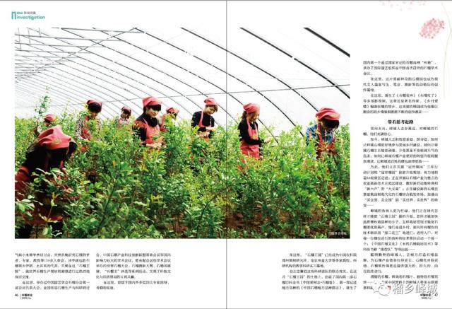 国家一级期刊《中国林业》12页篇幅刊发：峄城人的石榴