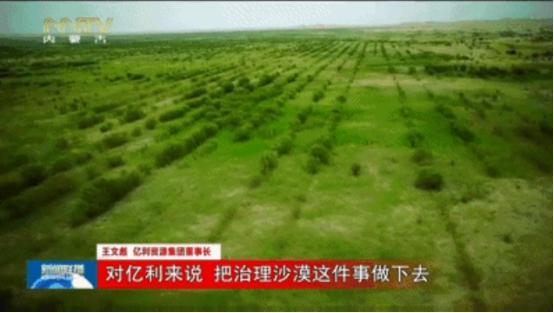 库布其荒漠化防治为世界树立典范 利用无人机快速植树