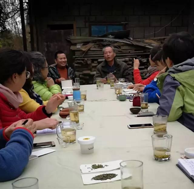 好嗨哟！山西阳泉代表团在四川蒙顶山这样茶旅游学