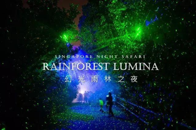 新加坡幻光雨林，互动体验式夜游的先驱