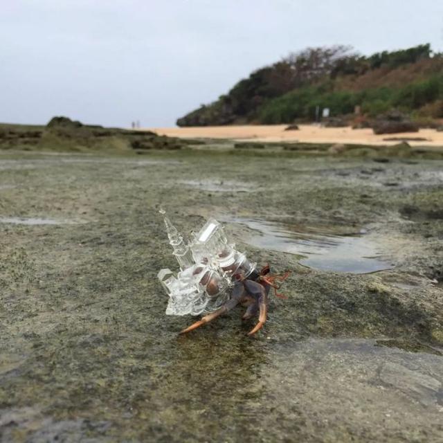 2019香港巴塞尔艺术展亮点