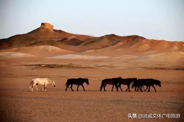 甘肃终于翻身了，亚洲最美旅游目的地冠军