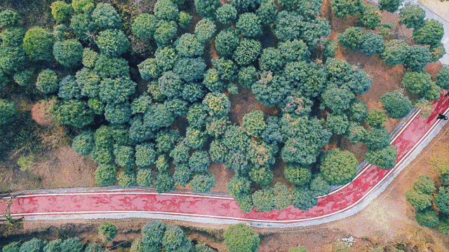 这座城，想低调都难