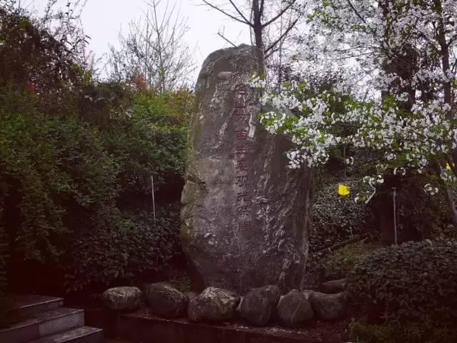 好嗨哟！山西阳泉代表团在四川蒙顶山这样茶旅游学