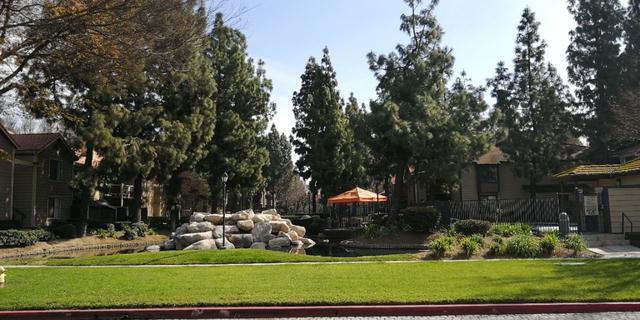 我眼中真实的美国的人文文化