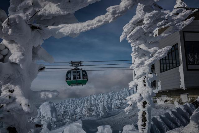 日本的“冰怪”哪儿去了？