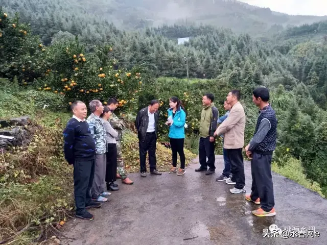 喜讯｜永春又要上央视啦！