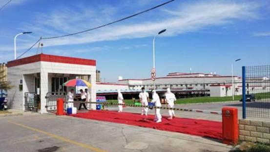 【8点见】英国法国做出同样决定 多国禁飞波音737Max系列飞机