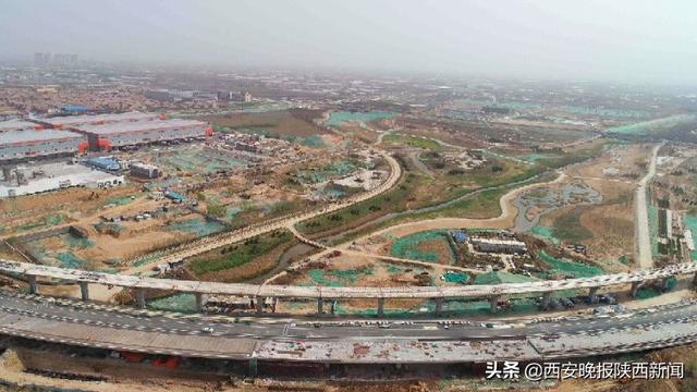 新渭沙湿地公园计划5月免费向社会开放