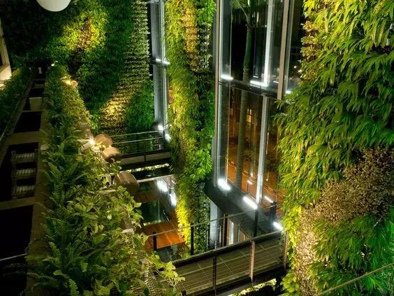 为什么全世界都去新加坡学习垂直绿化？