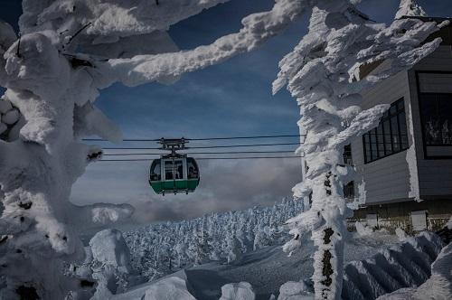 日本冰怪不见踪影 著名树冰遭气候变暖破坏
