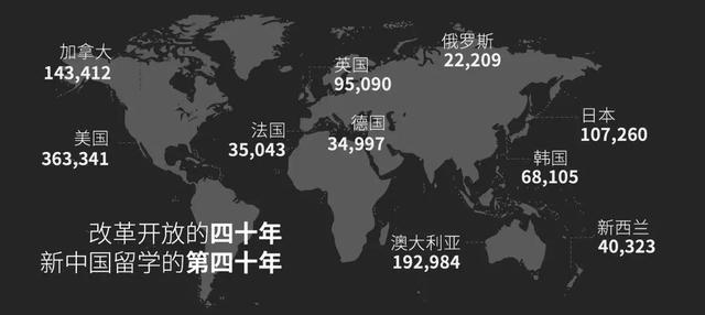 中国留学生白皮书