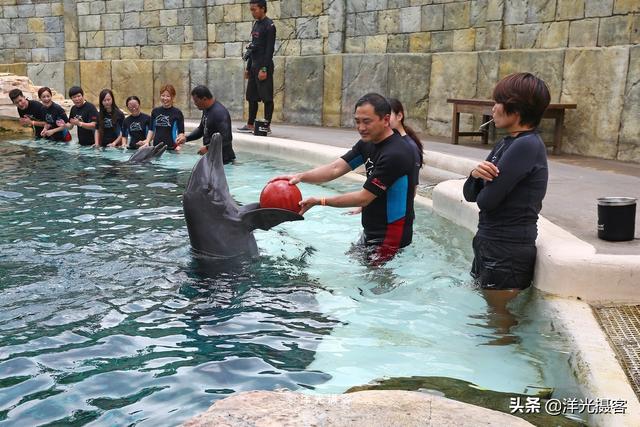 在新加坡圣淘沙名胜世界，与海豚最近距离、最亲密的接触