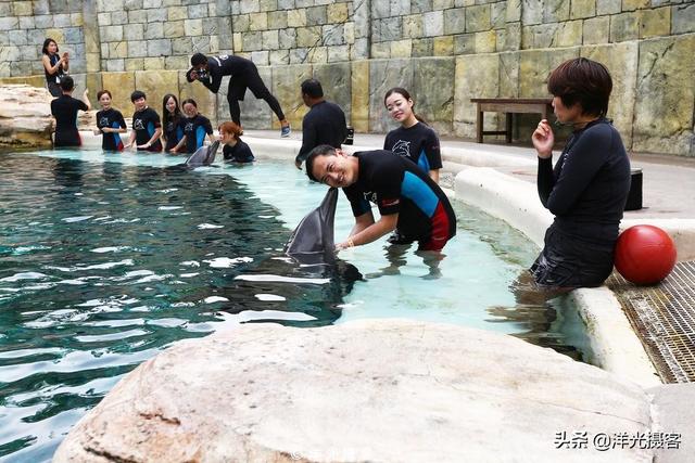 在新加坡圣淘沙名胜世界，与海豚最近距离、最亲密的接触