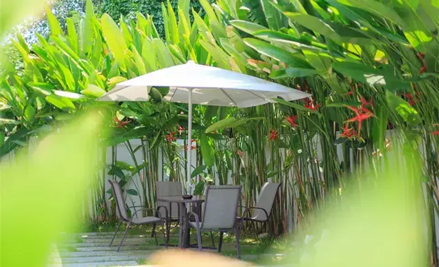 她30岁裸辞，在泰国改造800㎡院子，比陈意涵张钧甯更酷！