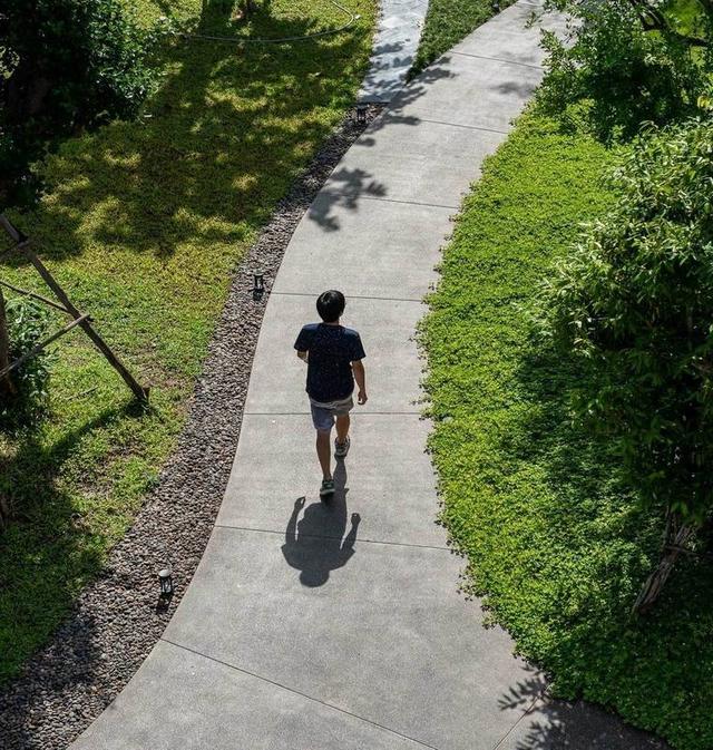 居住区景观设计和植物配置方法大放送，有你喜欢的吗