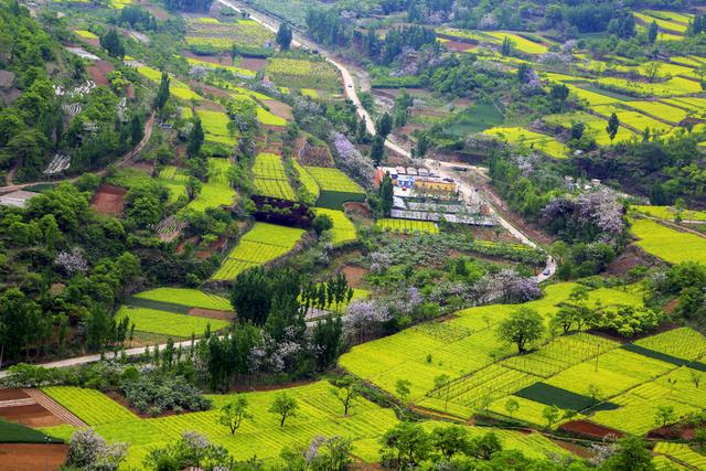 新型农民让乡村振兴盼头十足——临朐柳山农民返乡“土地刨金”渐入佳境